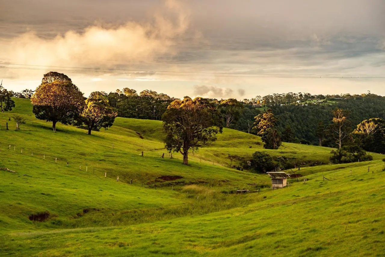 Beechmont Bean Cabins Australia